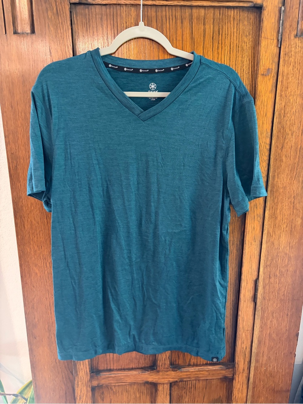 Gaiam Men's V-Neck Shirt in Teal